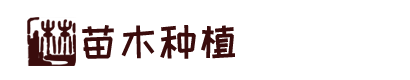 6686体育-全网最有氛围的体育赛事直播平台